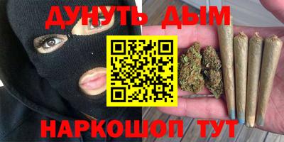 шишки Лесосибирск