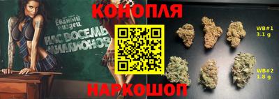шишки Лесосибирск