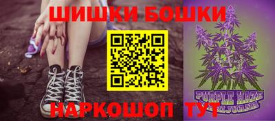 шишки Лесосибирск