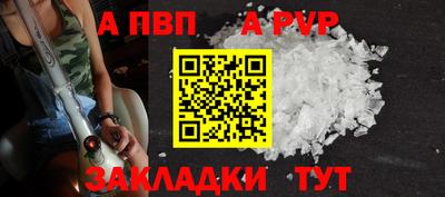 шишки Лесосибирск