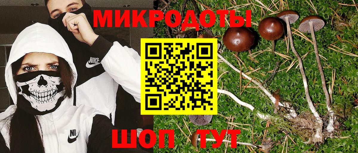 Галлюциногенные грибы мицелий  Псилоцибиновые грибы мухоморы  Краснотурьинск  Вход с VPN 